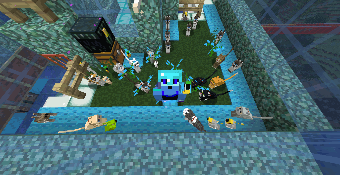 Kitten telling the RobinCraft story