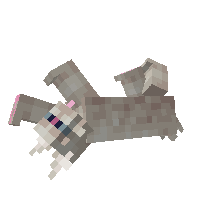 Tumblr kitten